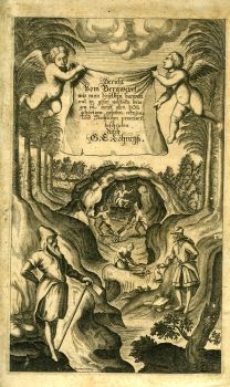 Bericht vom Bergwerck wie man die selben bawen und in guten wolstände bringen sol, sampt allen dazu gehörigen arbeiten, ordnung und Rechtlichen processen.