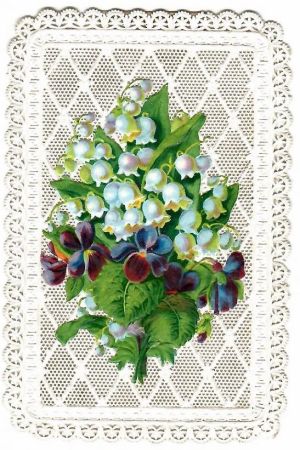 Přání - uvedení, Bez