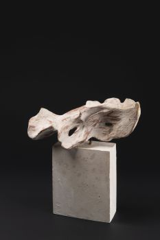 Zkroucený list [studie k nerealizované kašně]