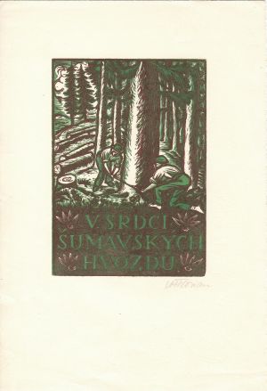 V srdci šumavských hvozdů - Florian, Michael