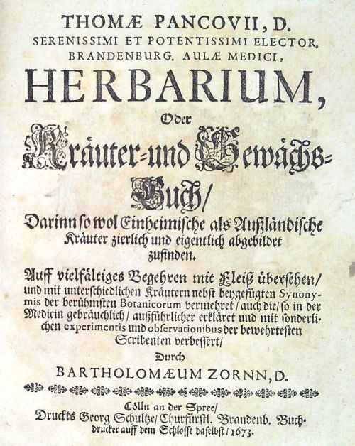 Herbarium, Oder Kräuter- und Gewächs-Buch, Darinn so wol Einheimische als Aussländische Kräuter, zierlich und eigentlich abgebildet zufinden......verbessert, Durch Bartholomaeum Zornn.