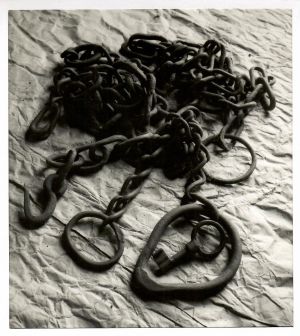 bez názvu - Meister, Karel