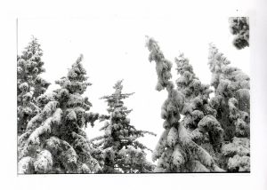 bez názvu - Meister, Karel