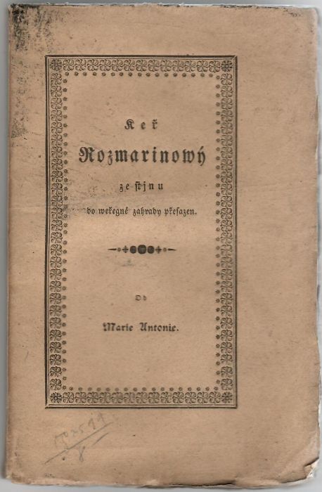 Keř Rozmarínowý, ze stjnu do weřegné zahrady přesazen.