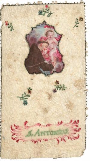 sv. Antonín - uvedení, Bez