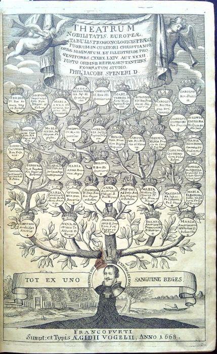 THEATRUM NOBILITATIS EUROPEAE TABULIS PROGONOLOGICIS PRAECIPUORUM IN CULTIORI CHRISTIANIO ORBE MAGNATUM ET ILLUSTRIUM PRO GENITORES CXXIIX. LXIV. AUT. XXXII IUSTO ORDINE REPRAESENTANTIBUS EXORNATUM STUDIO.  (4 díly  + 2 dodatky)  