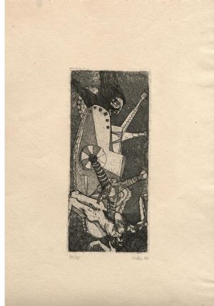 Nepříčetný vztek - Liesler, Josef