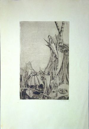 Vegetace - Tikal, Václav