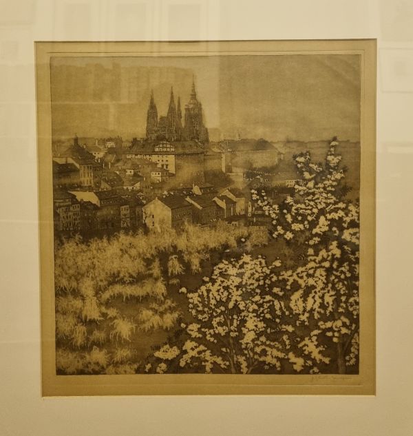 Hradčany z Petřína.