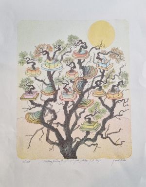 Strom - Sivko, Pavel