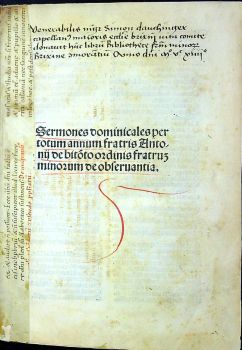 Sermones dominicales per totum annum.