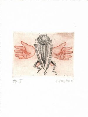 Vývoj brouka (z cyklu přírodozpytných záznamů). Fig. II. - Storchová, Hana