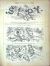 Šípy. Satyricko-politický obrázkový týdenník pro lid. Ročník I.-II. - 