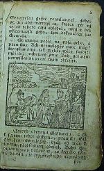 Hystorye o krásné Genowefě. - 