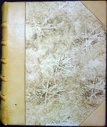 LEXICON TRIPARTITUM, Oder Teutsch=Lateinisch = und Böhmisches Wörter=Buch: In welchem nicht allein die allgemeine Wörter zu finden, sondern auch allerhand Länder, Königreiche, und Städte/ unterschiedliche Kräuter/ Bäume/ und Blumen/ mit auch bey Gereicht übliche Reden mit eingeführet seynd. Alles richtig in einem Alphabet auss unterschiedlichen Büchern/ und Lexicis, samt ihrer Art und Genere fleissiger massen zusammen getragen/ von ... - Vusín, Kašpar Zachariáš