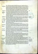 Vocabularius. Add: Johannes Sulpitius Verulanus: De quantitate. - Nestor, Dionysius